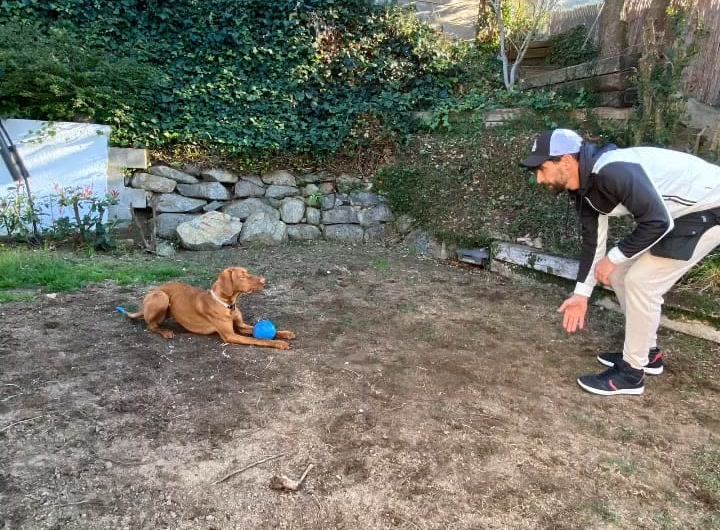 El perro espera tumbado con la pelota mientras David le da una señal
