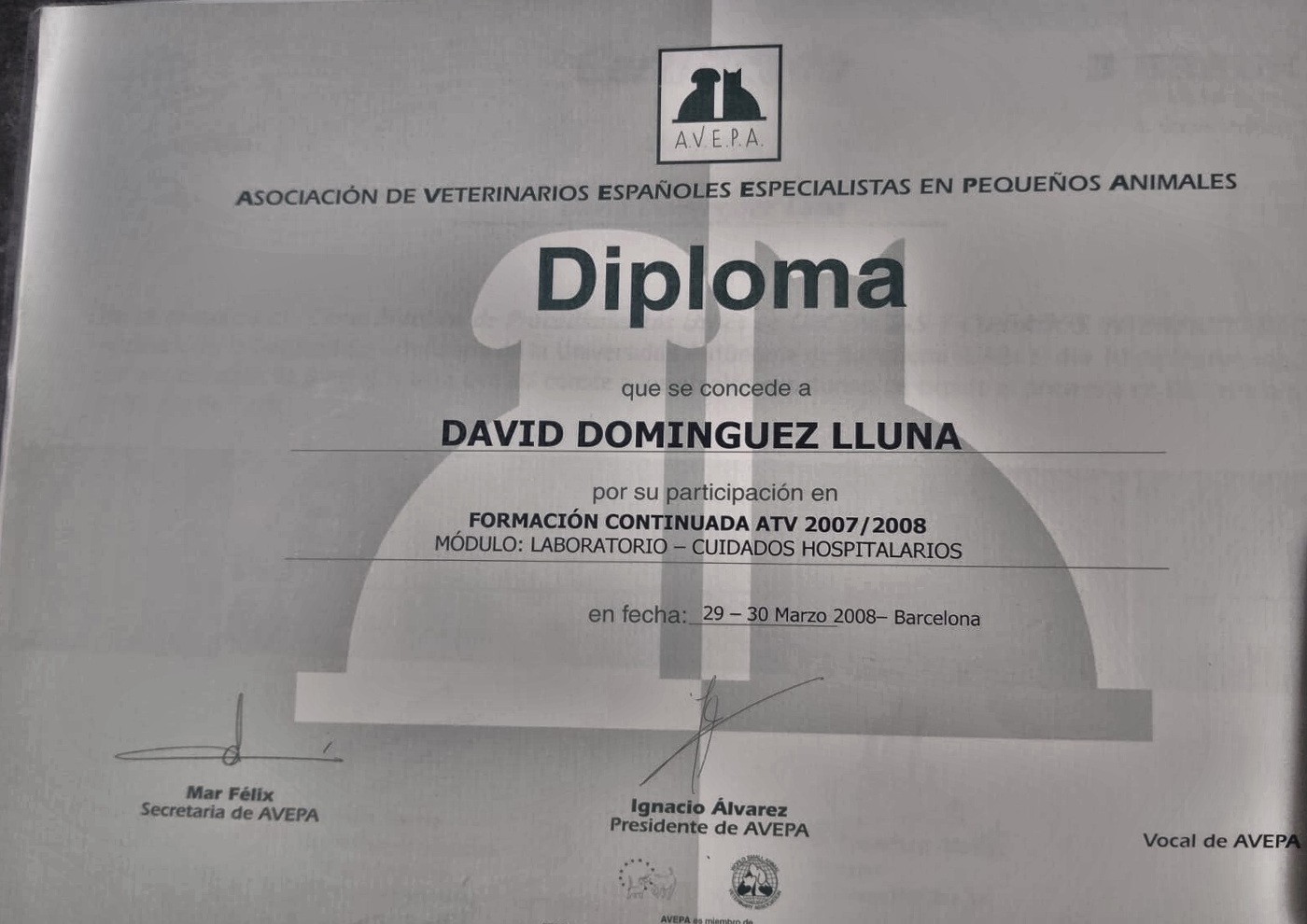 Certificado de formación continuada ATV, módulo Laboratorio – Cuidados hospitalarios, AVEPA, 2008