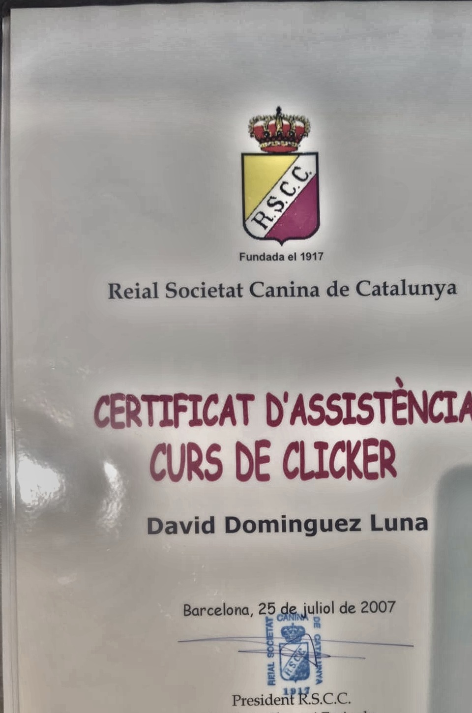 Certificado de asistencia al curso de clicker, Reial Societat Canina de Catalunya, 2007