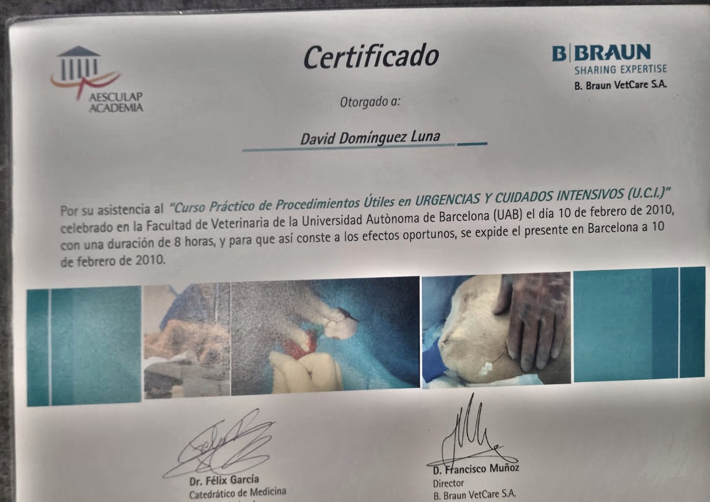 Certificado del curso de urgencias y cuidados intensivos, Aesculap Academia / B. Braun VetCare, UAB, 2010